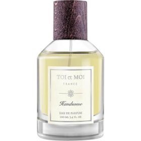 Toi et Moi Handsome EDP 100 ml Erkek Parfüm