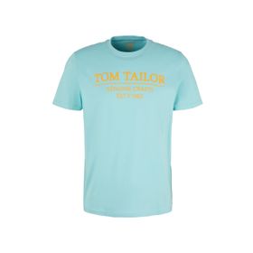 Tom Tailor 12433 Mint Haze Erkek T-Shirt