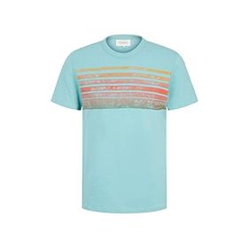 Tom Tailor 12433 Mint Haze Erkek T-Shirt