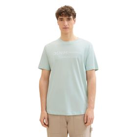 Tom Tailor 17549 Denim Deniz Köpüğü Polo Erkek T-shirt