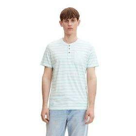 Tom Tailor 29787 White Mint Haze Enject Stripe Erkek T-shirt