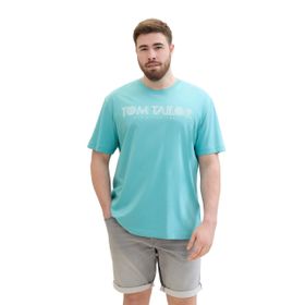 Tom Tailor 35272 Basic Baskılı Çayır Camgöbeği Erkek T-shirt