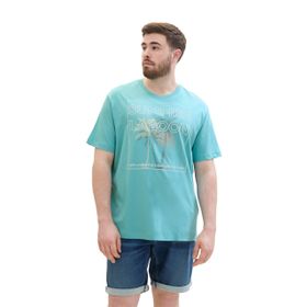 Tom Tailor 35272 Camgöbeği Erkek T-shirt
