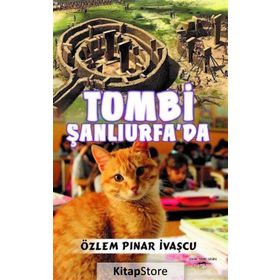 Tombi Şanlıurfa da - Özlem Pınar İvaşçu