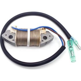 Tomking TK098-S/TK098-L Deniz Motoru Elektronik Bobin