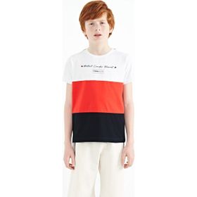 Tommy Life 11135 Lacivert Renk Bloklu O Yaka Baskı Detaylı Standart Kalıp Erkek Çocuk T-Shirt