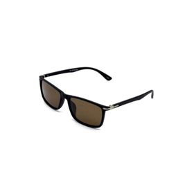 Toms Teddy 2013-1 C202M Kahverengi Erkek Güneş Gözlüğü