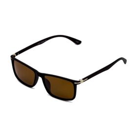 Toms Teddy 2013-1 C202M Kahverengi Erkek Güneş Gözlüğü