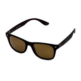 Toms Teddy 6001-1 C202M Kahverengi Erkek Güneş Gözlüğü