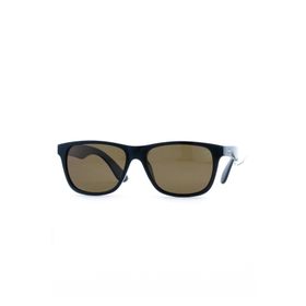 Toms Teddy 6003-2 C202P Kahverengi Erkek Güneş Gözlüğü