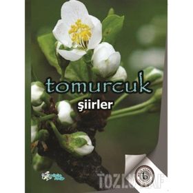 TOMURCUK - AHMET MERCAN