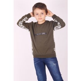 Toontoy 13387 Su Yeşili Erkek Çocuk Sweatshirt