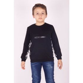 Toontoy 13387 Su Yeşili Erkek Çocuk Sweatshirt