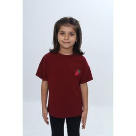 Toontoy 24978 Kız Çocuk Bisiklet Yaka Kısa Kollu Baskılı Tişört