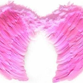 Toptanbulurum Küçük Pembe Melek Kanadı Kostümü