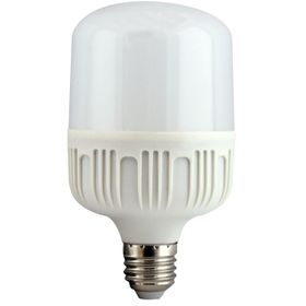Torch 30 W Led Ampül