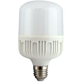 Torch 40 W Led Ampül