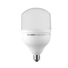 Torch 40 W Led Ampül