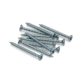 Torex DIN 7505 4x40 mm 20li Sunta Vidası