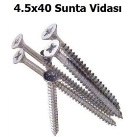 Torex DIN 7505 6x100 mm 6lı Sunta Vidası
