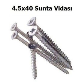 Torex DIN 7505 6x100 mm 6lı Sunta Vidası