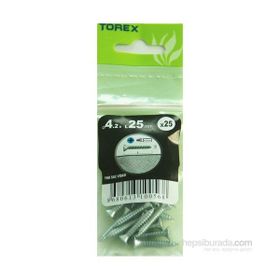 Torex DIN 7982 4.2x25 mm 25li YHB Sac Vidası