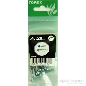 Torex DIN 7985 4x20 mm 25li YSB Vida