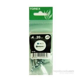Torex DIN 7985 4x20 mm 25li YSB Vida