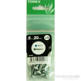 Torex DIN 7985 5x20 mm 12li YSB Vida