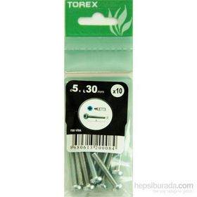 Torex DIN 7985 5x30 mm 10lu YSB Vida