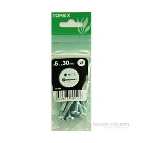 Torex DIN 7985 6x30 mm 8li YSB Vida