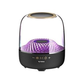 Torima D33 Siyah Bluetooth Hoparlör