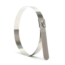 Tork TKBC-680H 100 Adet 7.9x680 mm Çelik Kablo Bağı