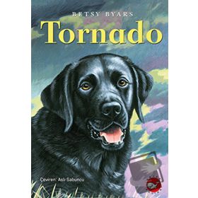 Tornado - Betsy Byars