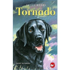 Tornado - Betsy Byars