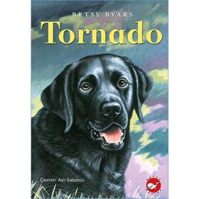 TORNADO - IVO PAVONE