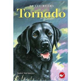 TORNADO - IVO PAVONE