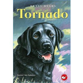 TORNADO - IVO PAVONE