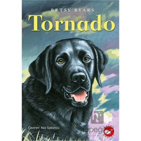 TORNADO - IVO PAVONE