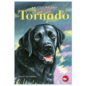 TORNADO - IVO PAVONE