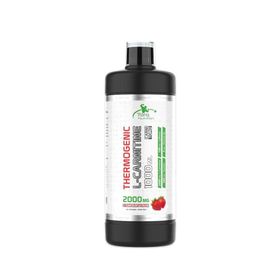Torq Nutrition Çilek Aromalı 1000 ml Thermogenic L-Carnitine