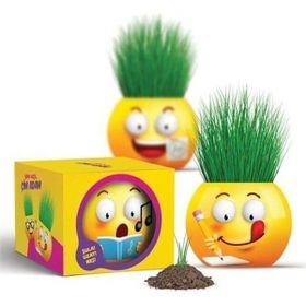 ToruToys 3321 Kutulu Kral Şakir Çim Adam