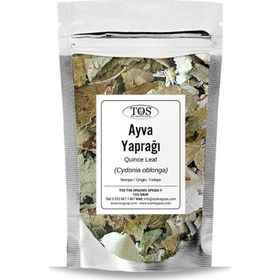 TOS 250 gr Ayva Yaprağı