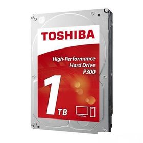Toshiba P300 1TB High-Performance HDWD110EZSTA Hard Disk