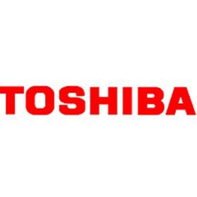 Toshiba T-FC20E-Y Toner