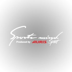 Toyota Aurıs Sports Mind Oto Sticker