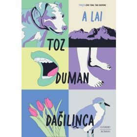 Toz Duman Dağılınca Everest Yayınları