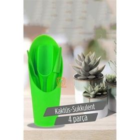 Transformacion 720516 Kaktüs Sukkulent Dikim Seti