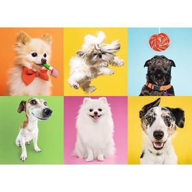 Trefl Dogs 500 Parça Puzzle
