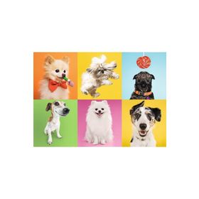 Trefl Dogs 500 Parça Puzzle